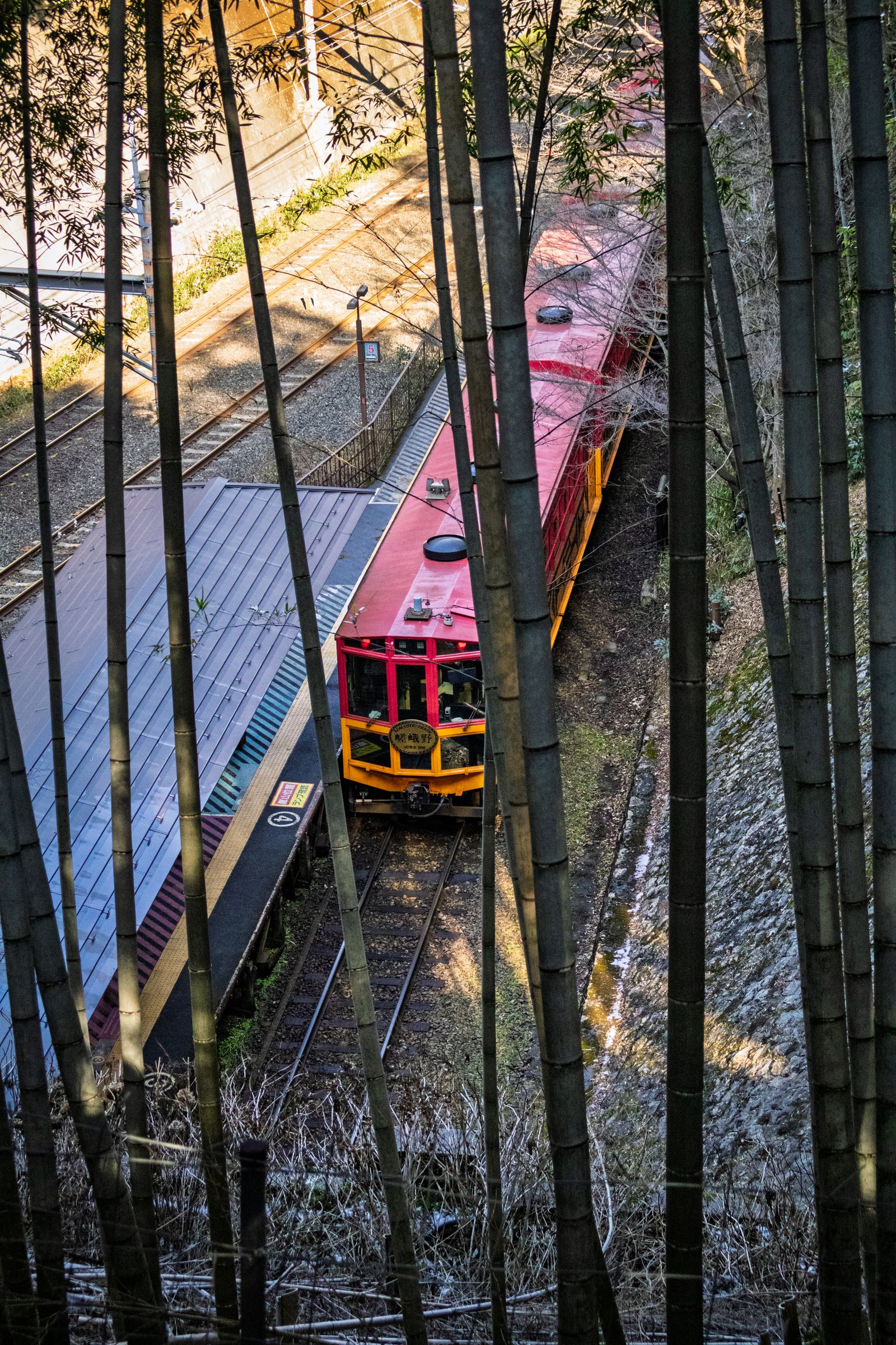 The Sagano Romantic Train passing through Kyoto's bamboo grove