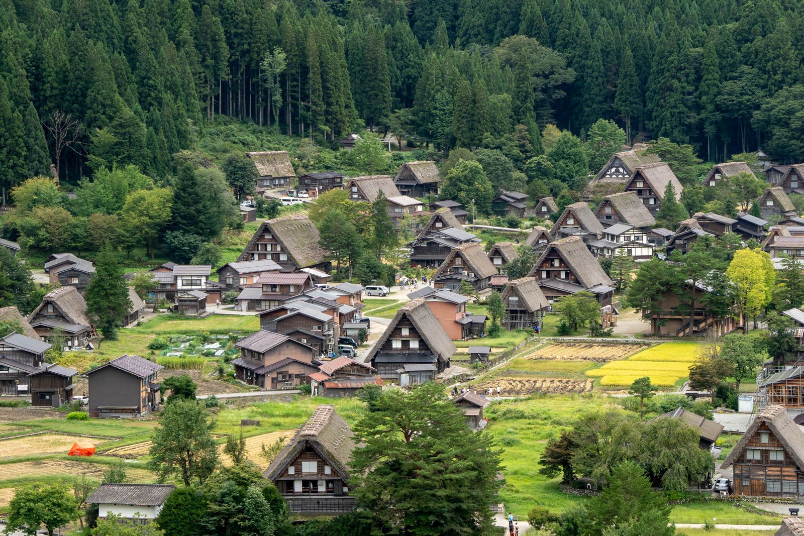 Gassho-zukuri farmhouses of Shirakawa-go
